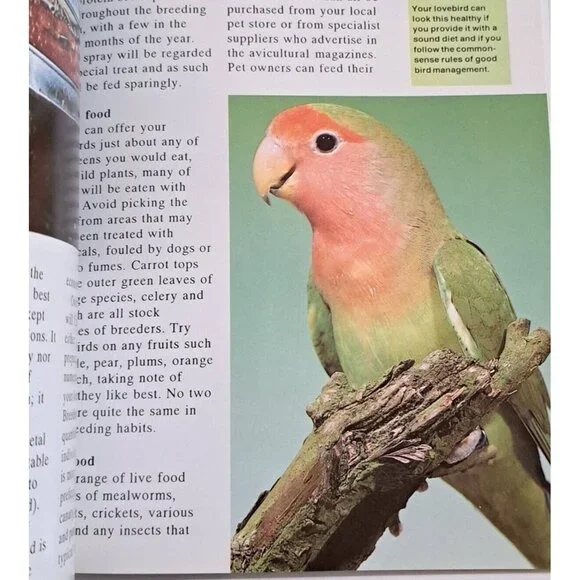 🪻BOGO🪻 Lovebirds as a New Pet by‎ Denton, Oliver Paperback - Picture 5 of 7